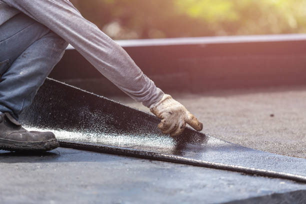 Professional Basement Waterproofing technician working in Titus, AL